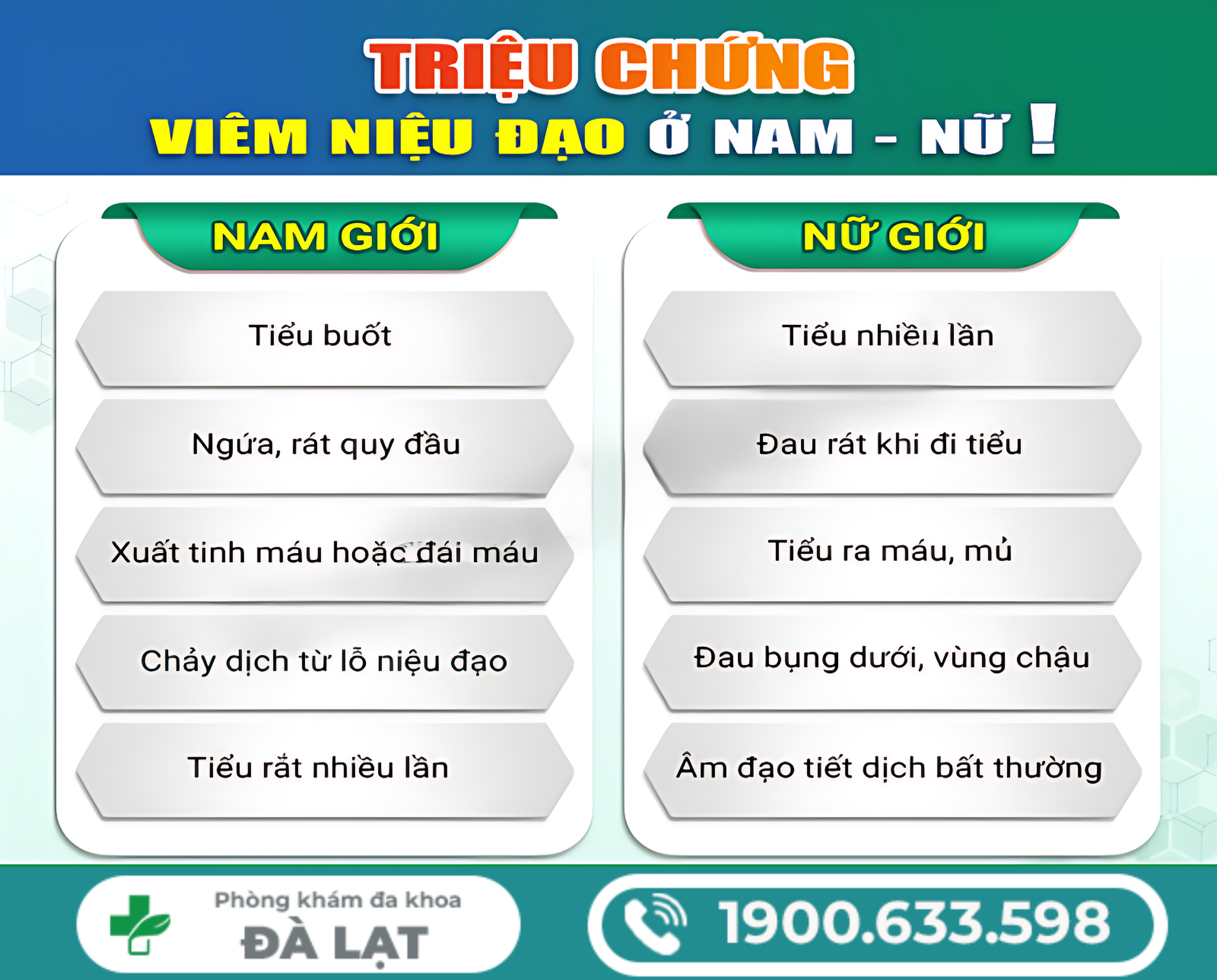 Hình ảnh minh họa